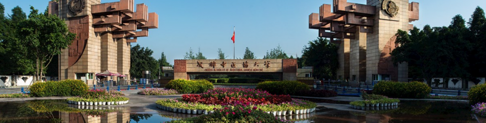 【党纪学习】支部书记讲纪律党课：中医治“未病、欲病、已病”思想对党风廉政建设和反腐败斗争的启示